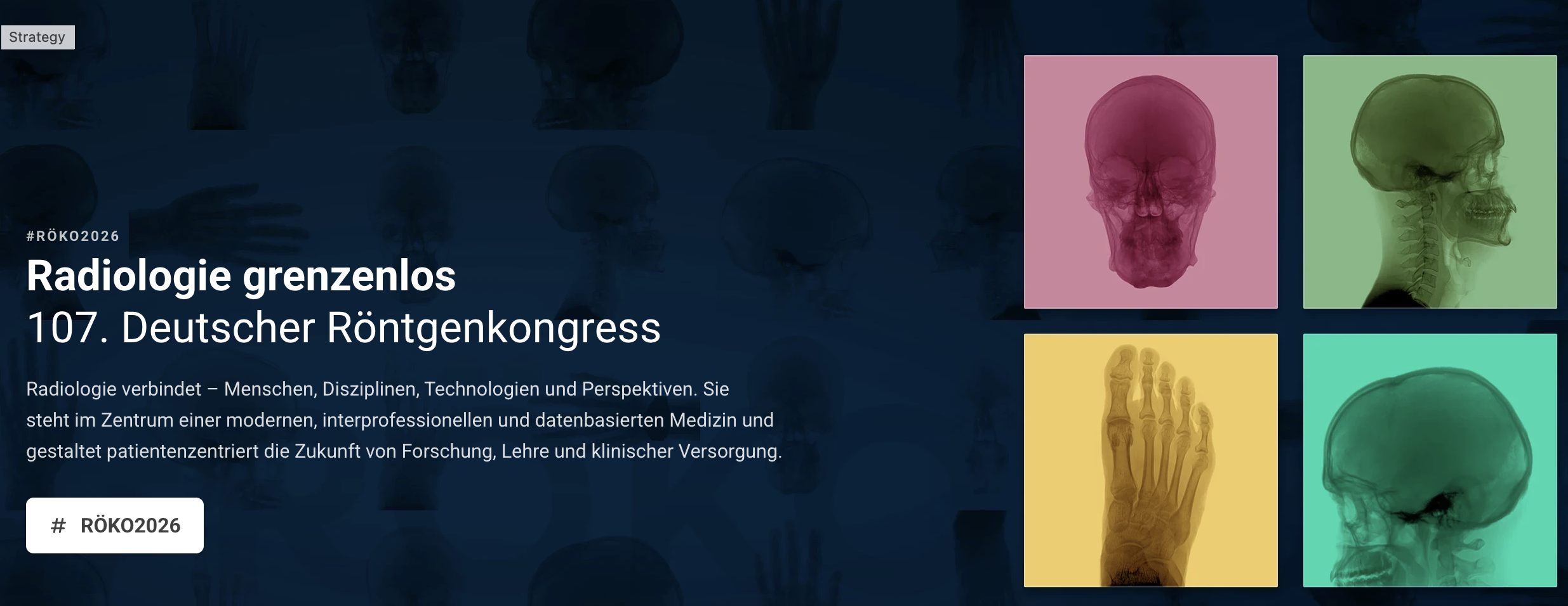 DRG Strategy Workshop - Bonn, Nov 11-12th, 2025